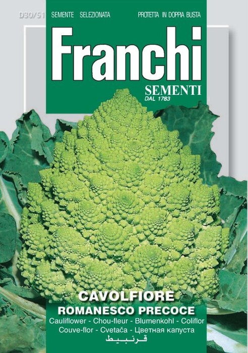 Cavolfiore Romanesco Precoce 12g