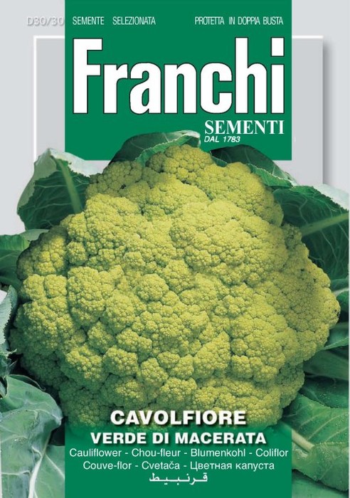 Cavolfiore Verde di Macerata 12g