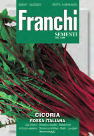 Cicoria Rossa Italiana 12g