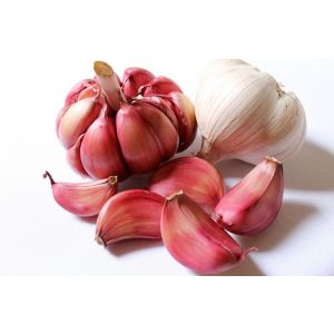 Sementi Franchi - Bulbi Aglio Rosso 500g 10pz