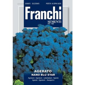Sementi Franchi - Agerato Nano Blu Star
