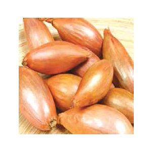 Sementi Franchi - Bulbi Aglio Scalogno Giallo 500g 25pz