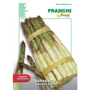 Asparago Argenteuil