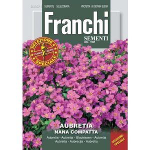 Sementi Franchi - Aubretia Nana Compatta Selezione Speciale