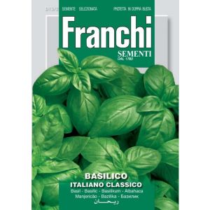 Basilico Italiano 12g