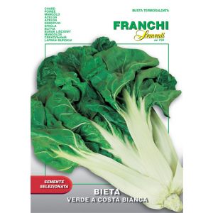Bieta Verde a Costa Bianca