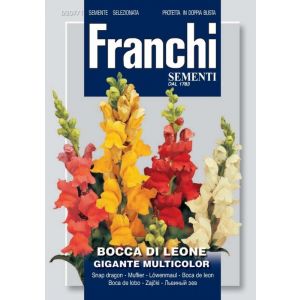 Sementi Franchi - Bocca di Leone Gigante Multicolor