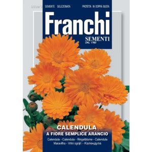 Sementi Franchi - Calendula a Fiore Semplice Arancio