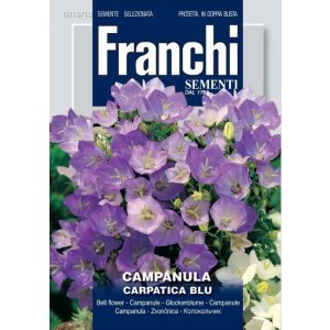 Sementi Franchi - Campanula Carpatica Blu