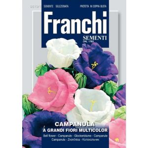 Sementi Franchi - Campanula a Fiori Grandi Multicolor