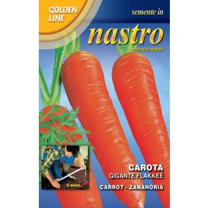 Carota Gigante Flakkée in Nastro