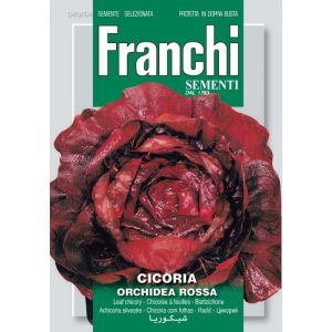 Cicoria Orchidea Rossa 12g