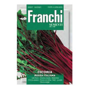 Sementi Franchi - Cicoria Rossa Italiana 12g