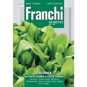 Cicoria Bionda da Taglio a Foglia Larga 12g
