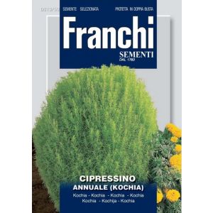 Sementi Franchi - Cipresso Annuale (Kochia)