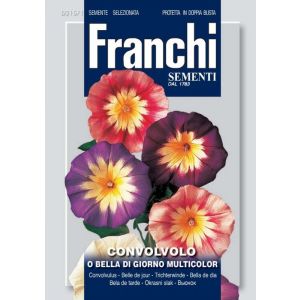 Sementi Franchi - Convolvolo ( o Bella di Giorno) Multicolor