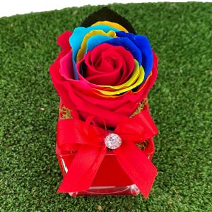 Cubo vetro con Rosa Multicolor