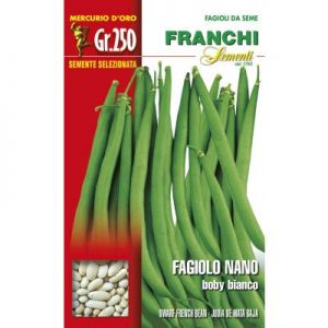 Sementi Franchi - Fagiolo Nano Boby Bianco 250g