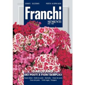 Sementi Franchi - Garofano dei Poeti a Fiore Semplice
