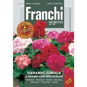 Sementi Franchi - Geranio Zonale a Grandi Fiori Multicolor Selezione Speciale