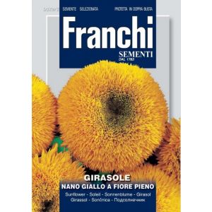 Sementi Franchi - Girasole Nano a Fiore Pieno