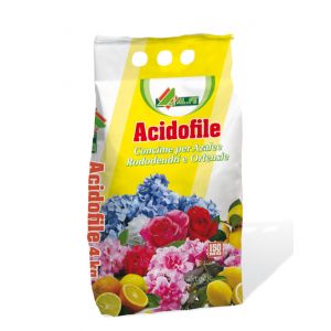 ACIDOFILE AL.FE