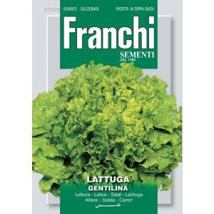 Lattuga Gentilina 12g
