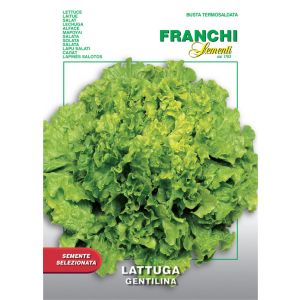 Sementi Franchi - Lattuga Gentilina 7g