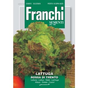 Lattuga Rossa di Trento 12g