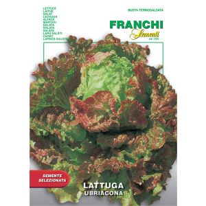 Sementi Franchi - Lattuga Ubriacona 7g