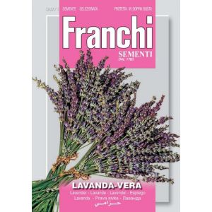 Sementi Franchi - Lavanda Vera 12g