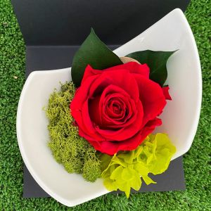 Rosa Long Premium