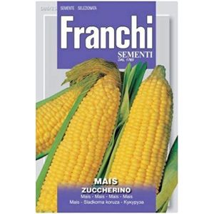 Sementi Franchi - Mais Zuccherino (Dolce) 12g