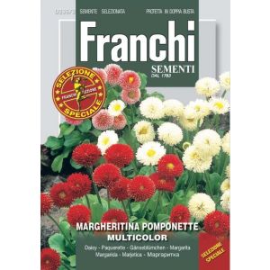 Sementi Franchi - Margheritina Pomponette Multicolor Selezione Speciale