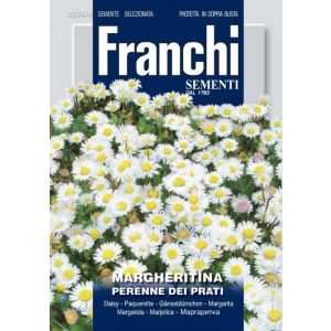 Sementi Franchi - Margheritina Perenne dei Prati