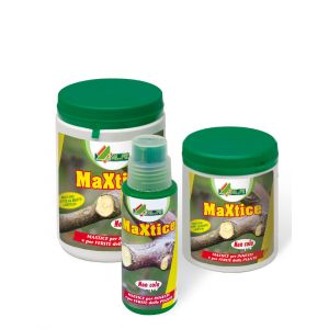 Maxtice