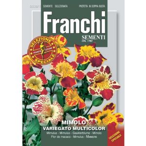 Sementi Franchi - Mimolo Variegato Multicolor Selezione Speciale