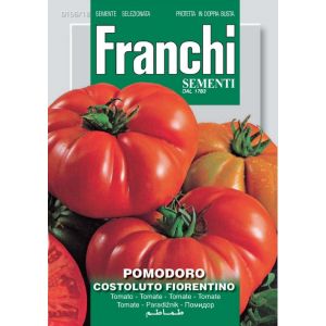 Pomodoro Costoluto Fiorentino 12g