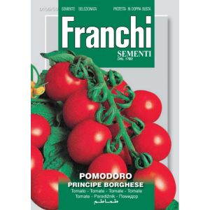Pomodoro Principe Borghese