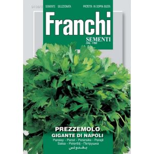 Prezzemolo Gigante di Napoli 12g