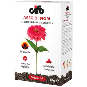 Asso di fiori CIFO 1kg