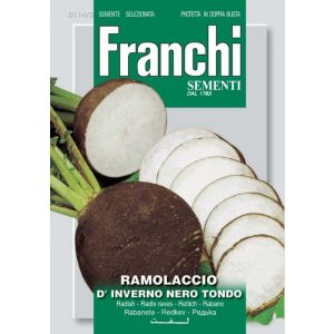Ramolaccio d'Inverno Nero Tondo 12g