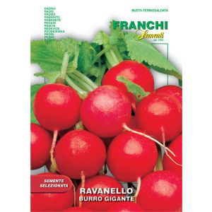 Sementi Franchi - Ravanello Burro Gigante 7g
