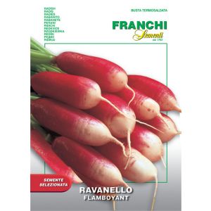 Sementi Franchi - Ravanello Flamboyant 7g