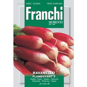 Ravanello Flamboyant 12g