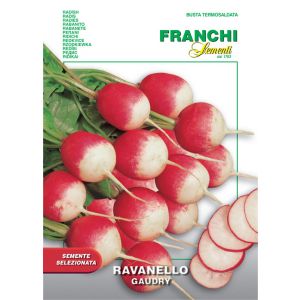 Sementi Franchi - Ravanello Gaudry 7g