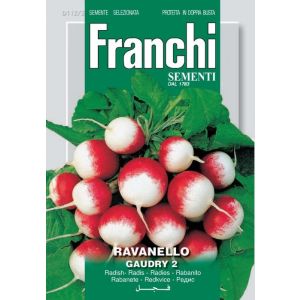 Ravanello Gaudry 12g