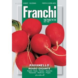 Sementi Franchi - Ravanello Burro Rosso Gigante 12g