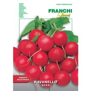 Sementi Franchi - Ravanello Saxa 7g
