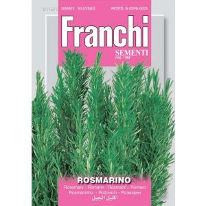 Sementi Franchi - Rosmarino 12g